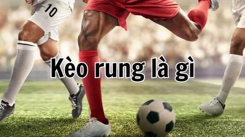 Kèo rung là gì? Kèo rung là gì?